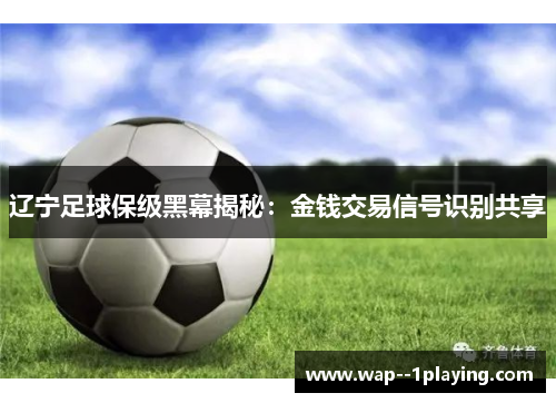 辽宁足球保级黑幕揭秘：金钱交易信号识别共享