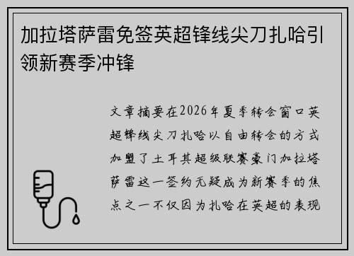 加拉塔萨雷免签英超锋线尖刀扎哈引领新赛季冲锋