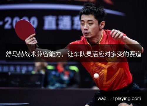 舒马赫战术兼容能力，让车队灵活应对多变的赛道
